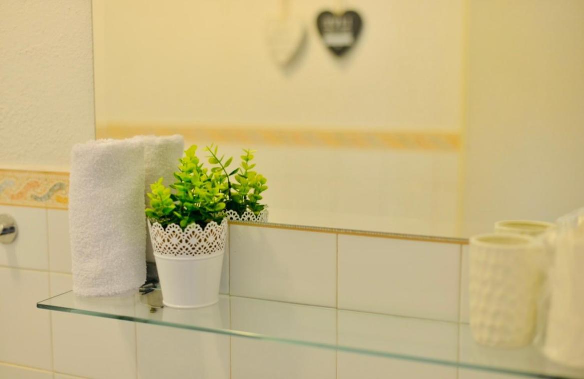 Apartment Niksa Novigrad  Exteriér fotografie